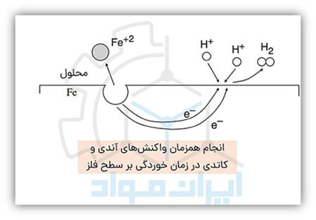 واکنش های الکتروشیمیایی خوردگی فلزات