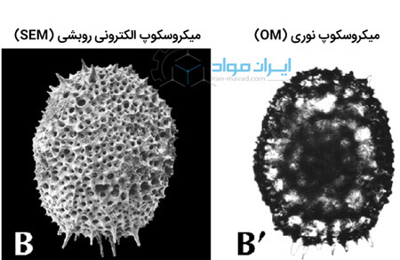 عمق میدان در میکروسکوپ الکترونی روبشی (SEM)