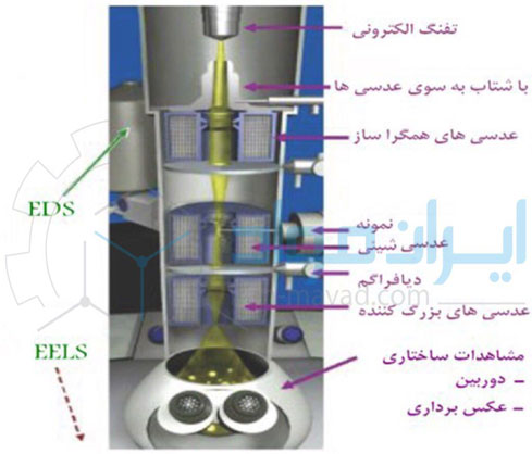 اجزای میکروسکوپ الکترونی روبشی (TEM)