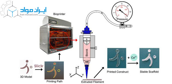 Bioprinting: ترکیبی از علوم زیستی با پرینت سه بعدی