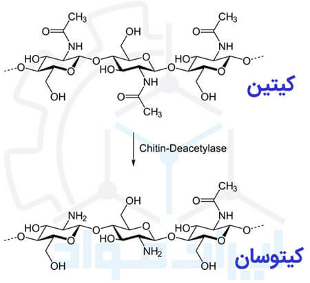 ساختمان شیمیایی کیتوزان و کیتین