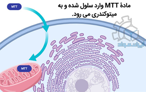 تترازولیوم ، ماده اولیه آزمون MTT