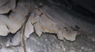 خرابی پوشش Coal Tar Epoxy